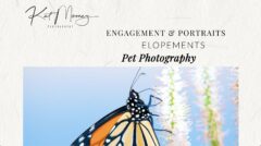 Kat Mooney Photography