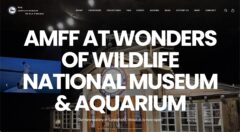 American Museum of Fly Fishing