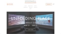 SPEEDWELL projects