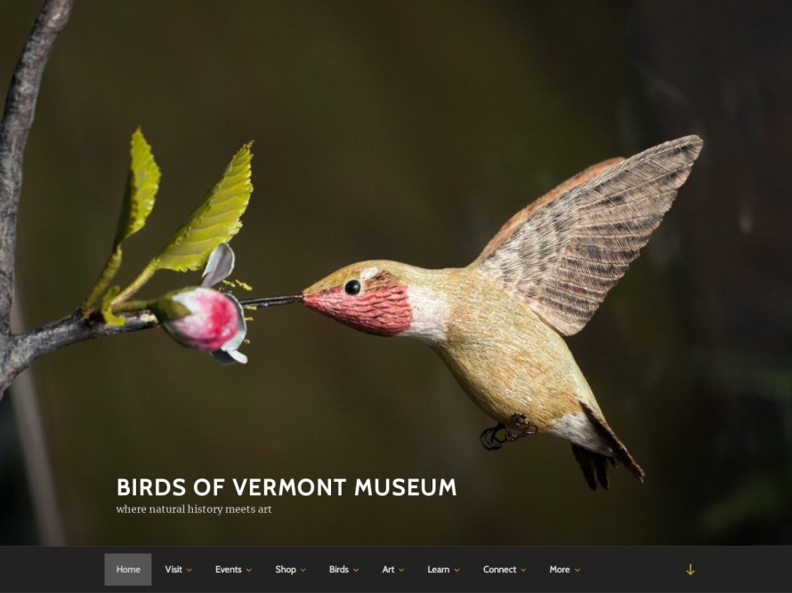 https://birdsofvermont.org/